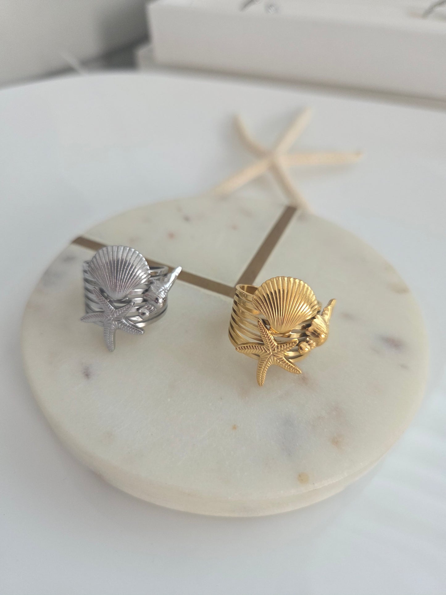 Trio caracol, estrella y concha