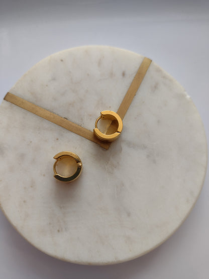 Huggie earrings