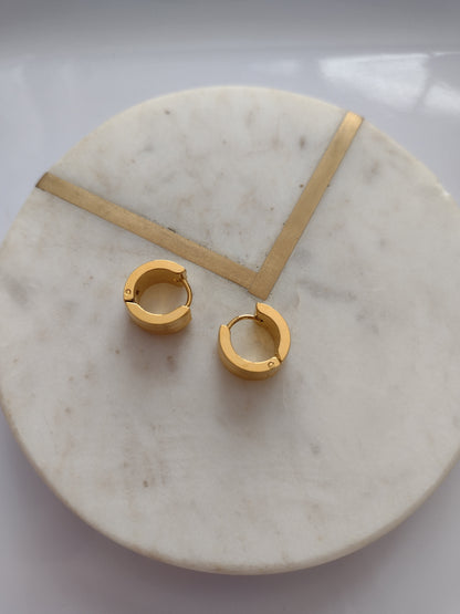 Huggie earrings