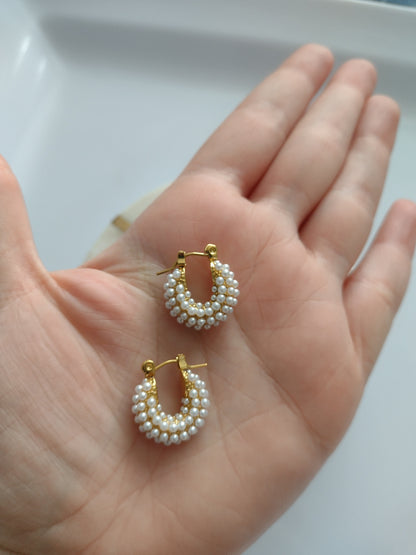 Elegant earrings