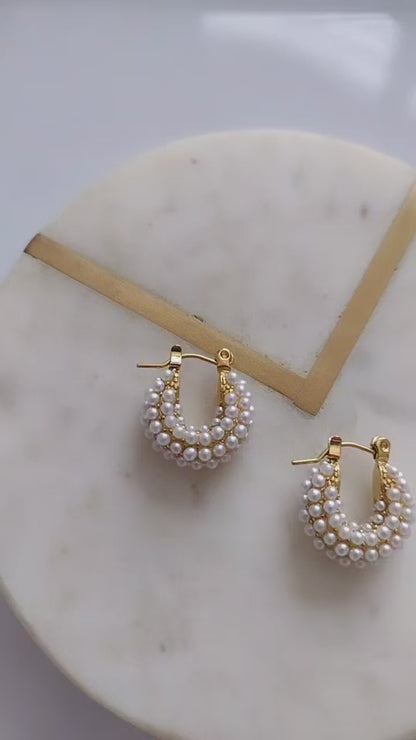 Elegant earrings