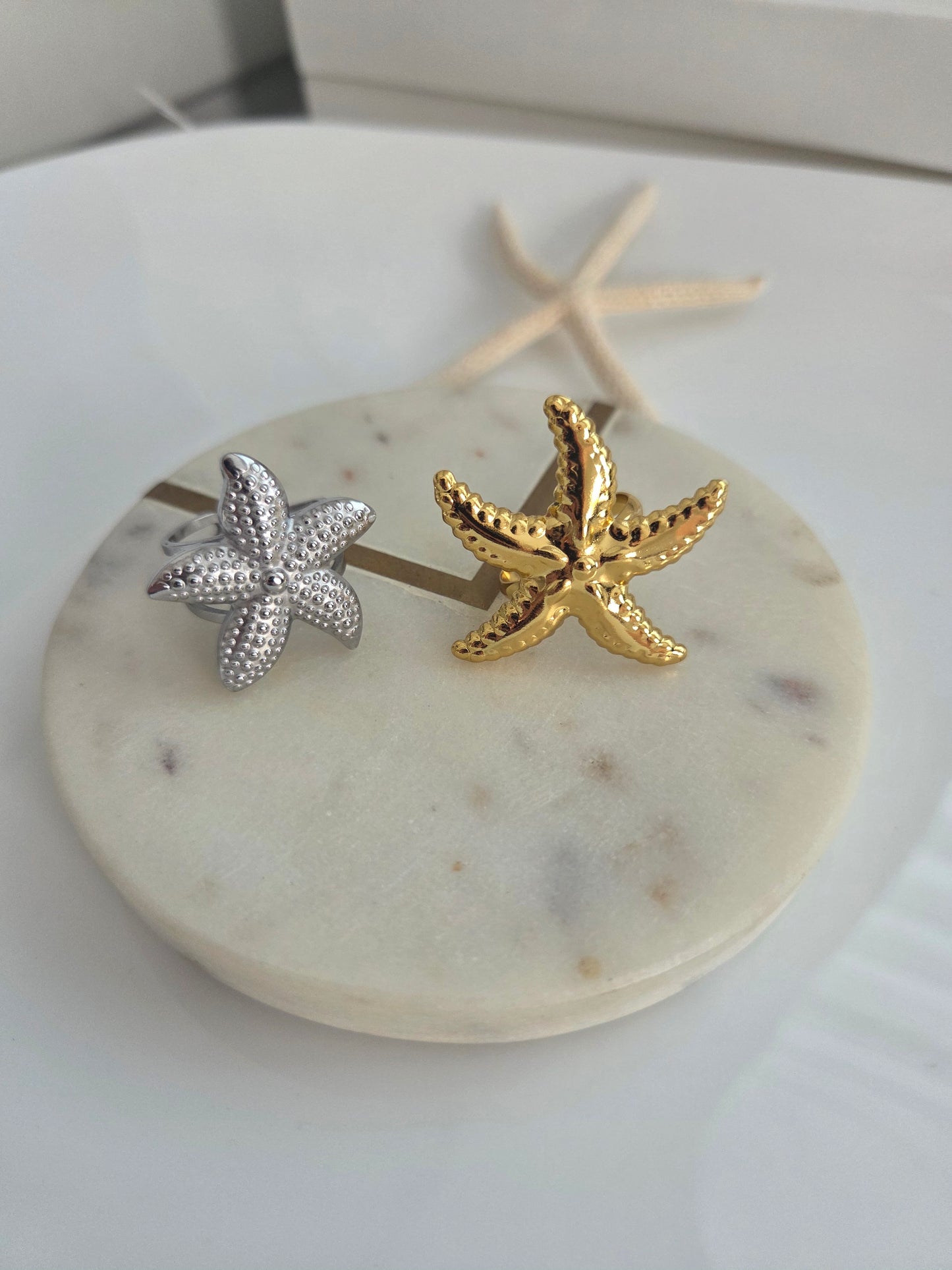 Big estrella de mar