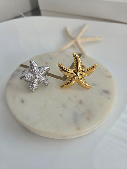 Big estrella de mar