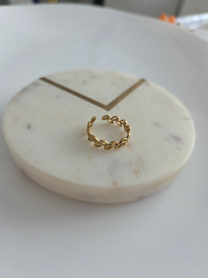 Hojita gold ring