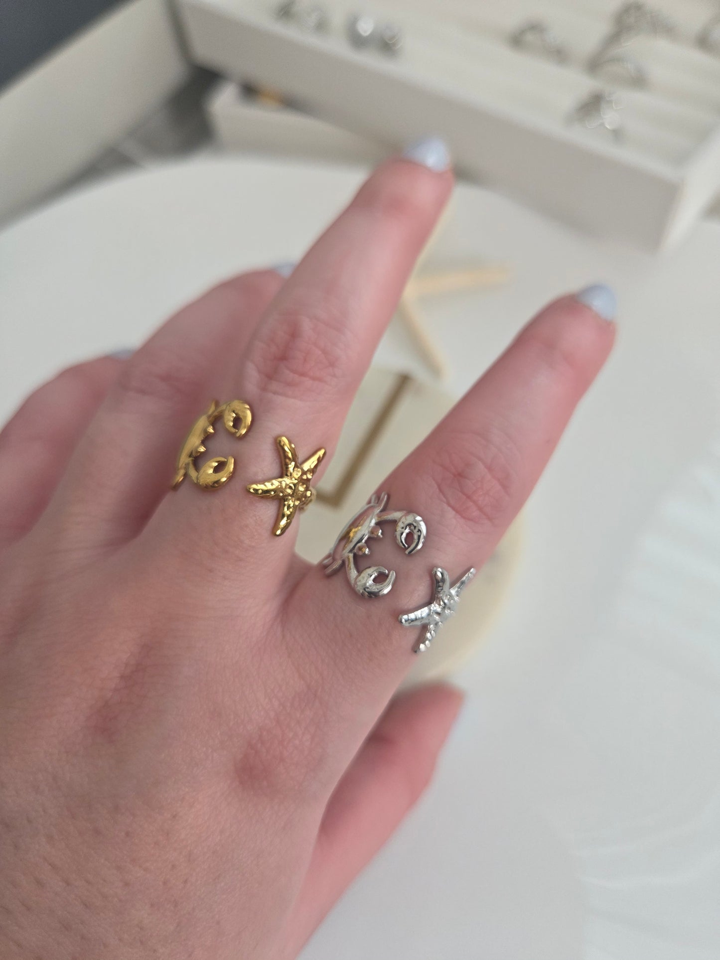 Crab & fishstar