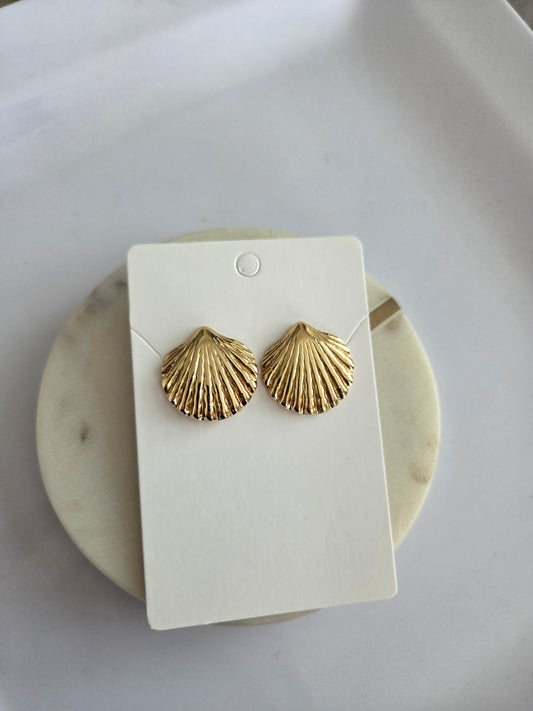 Concha earrings