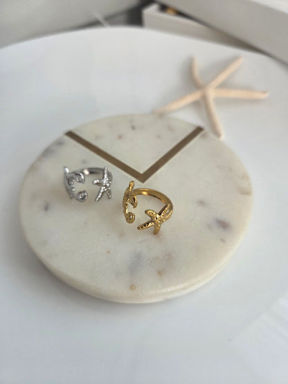 Crab & fishstar