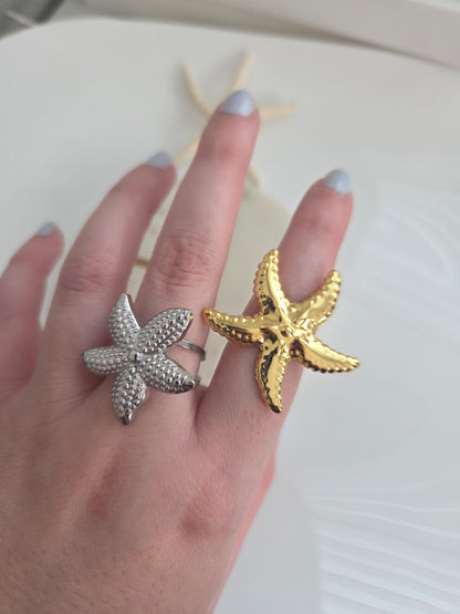 Big estrella de mar