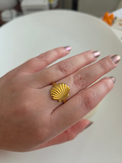 Concha rings