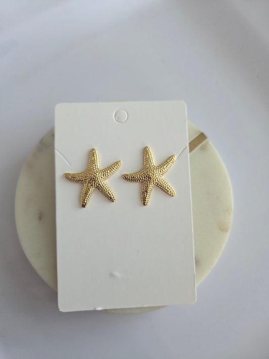 Estrella de mar con textura
