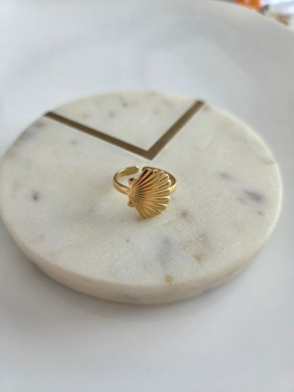 Concha rings